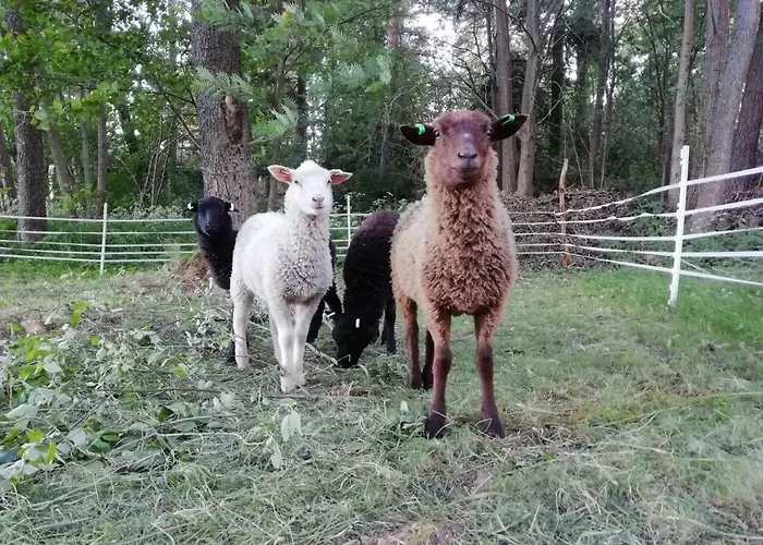 Bjoerkholm Moekit Hébergement de vacances