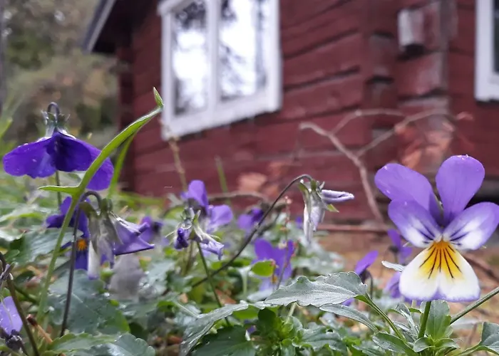 Ferienhaus Bjoerkholm Moekit Pargas